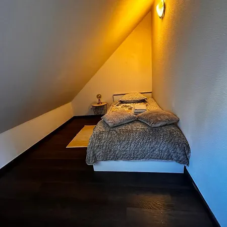 La Maison Aux Volets Bleus 3eme Etage Apartment Vic-sur-Cere