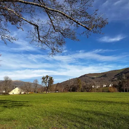La Maison Aux Volets Bleus 3eme Etage Апартаменты Вик-сюр-Сер